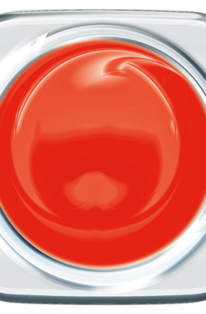 Gerbera Orange 824 5g